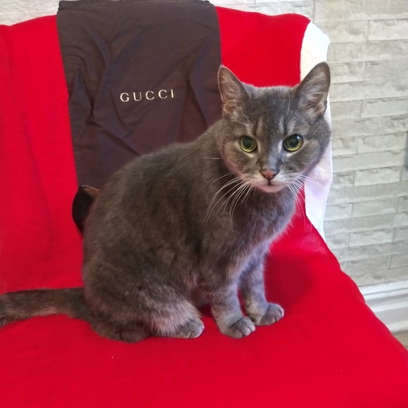 Meet your Posher, Alena - Picture 3 of 3